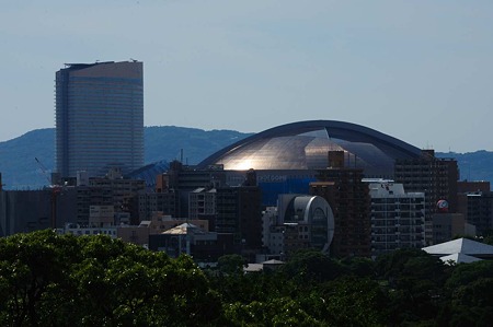 1107121533_DSC_5678