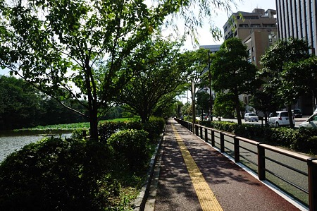 1107121620_DSC_5795