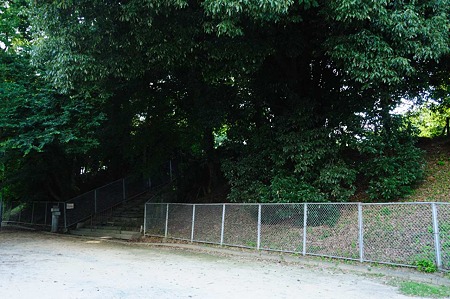1107121632_DSC_5832