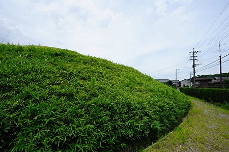 1107131215_DSC_3602