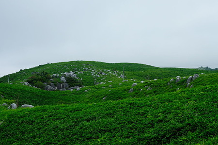 1107131430_DSC_5972