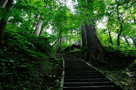 1108130904_DSC_4432