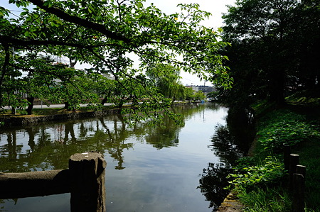 1108140843_DSC_5127
