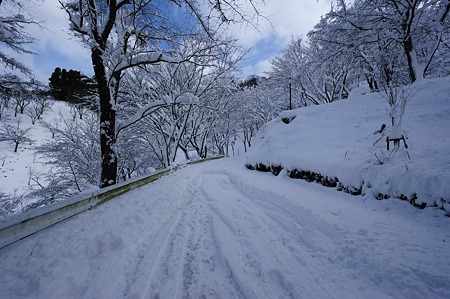 1101011357_DSC_6493