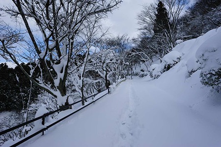 1101011408_DSC_6516