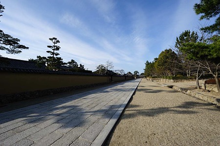 1101030921_DSC_7679