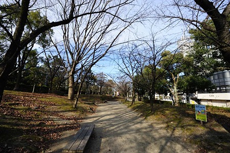 1101031355_DSC_8140