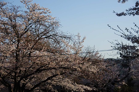 1104121711_DSC_4927