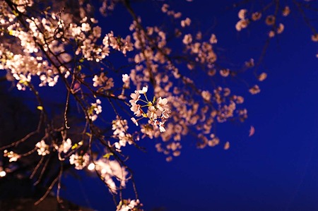 1104121901_DSC_9640
