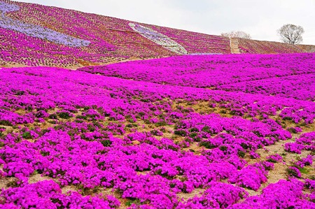1104271008_DSC_9893