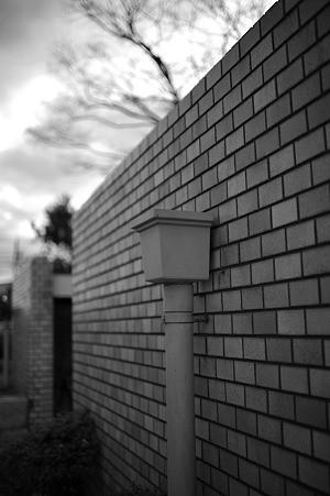 DSC_1317m