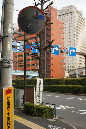DSC05880m