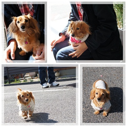 20120129 JURI