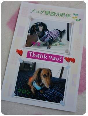 20120227 ohちゃんから♪