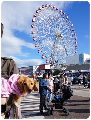 20120504 観覧車(刈谷ハイウェイオアシス)