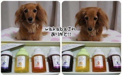 20120709 wakabaさん、ありがと♪