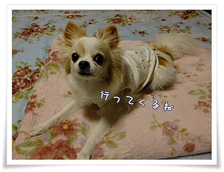 行ってくるね