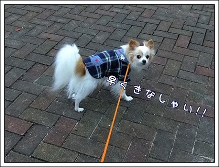 早く