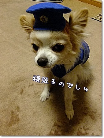 頑張る