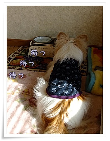 待つ