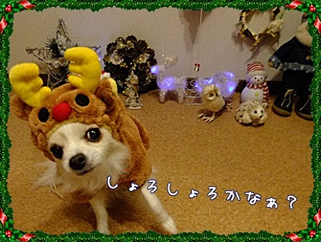 そろそろ