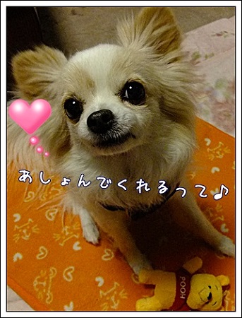 あそんでくれるって