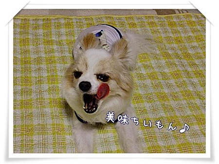 美味ちいもん