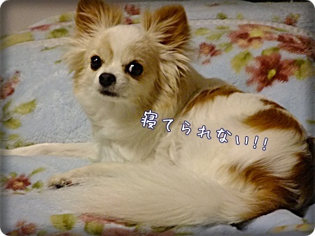 怒る