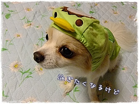 なるけど