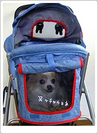 笑ッチャゥョネ