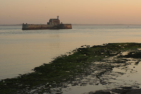 IMGP8329