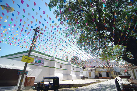 IMGP8936