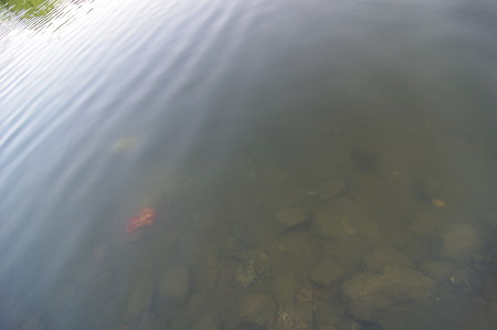 IMGP3850