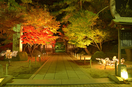 参道