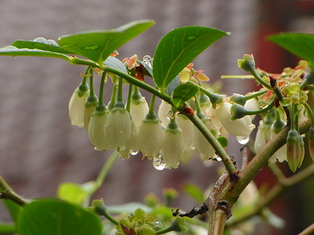 R0012234