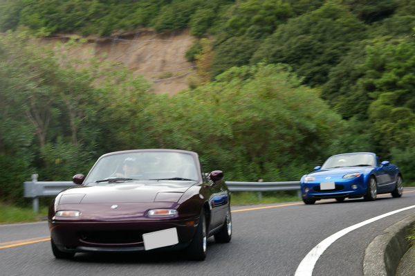 いい写真と思ったが、ブレており残念