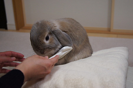 アゴ1