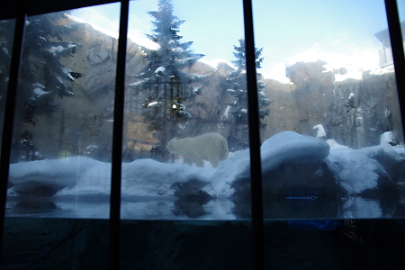 20111224_150928_0